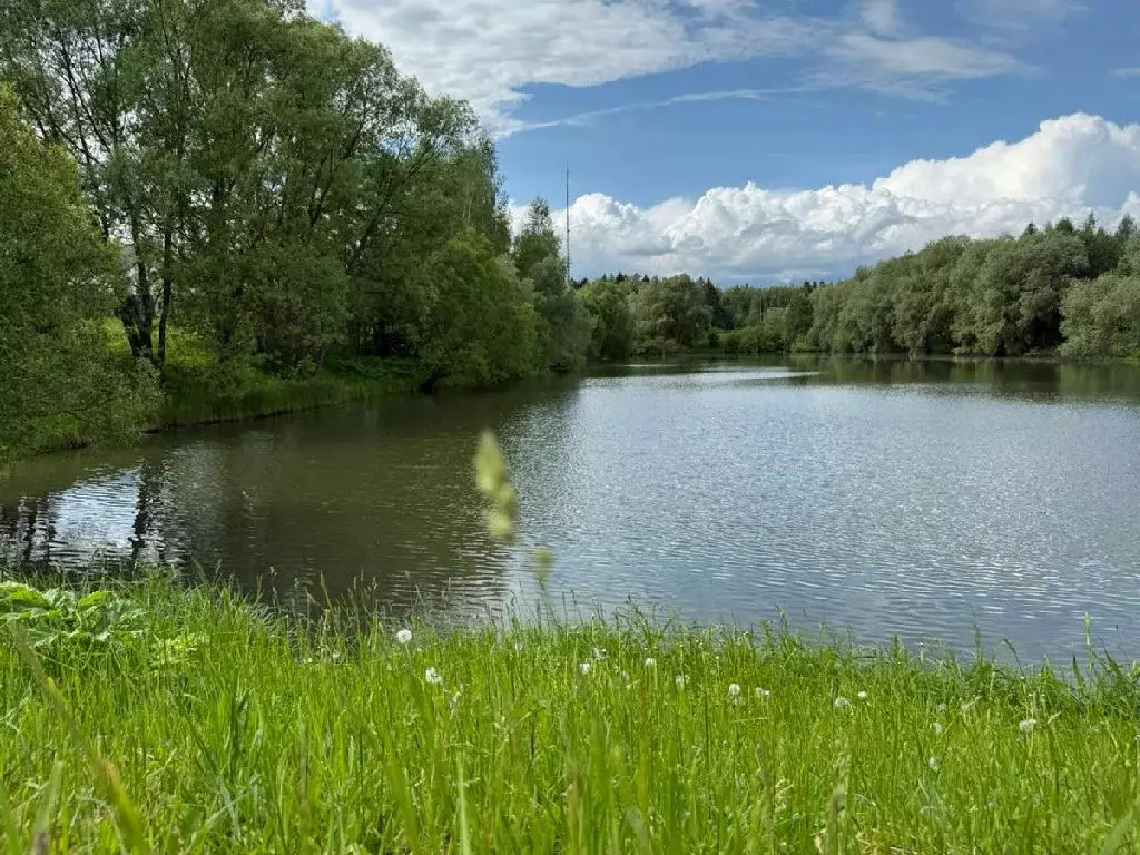Продается участок в д. Руднево - Фото 2