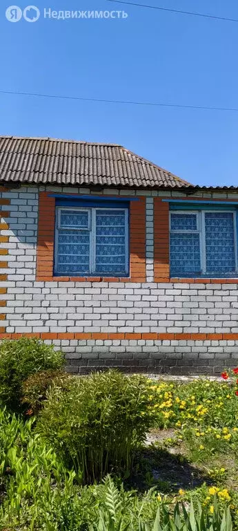 Дом в Лопушь, Набережная улица, 46 (76 м) - Фото 0
