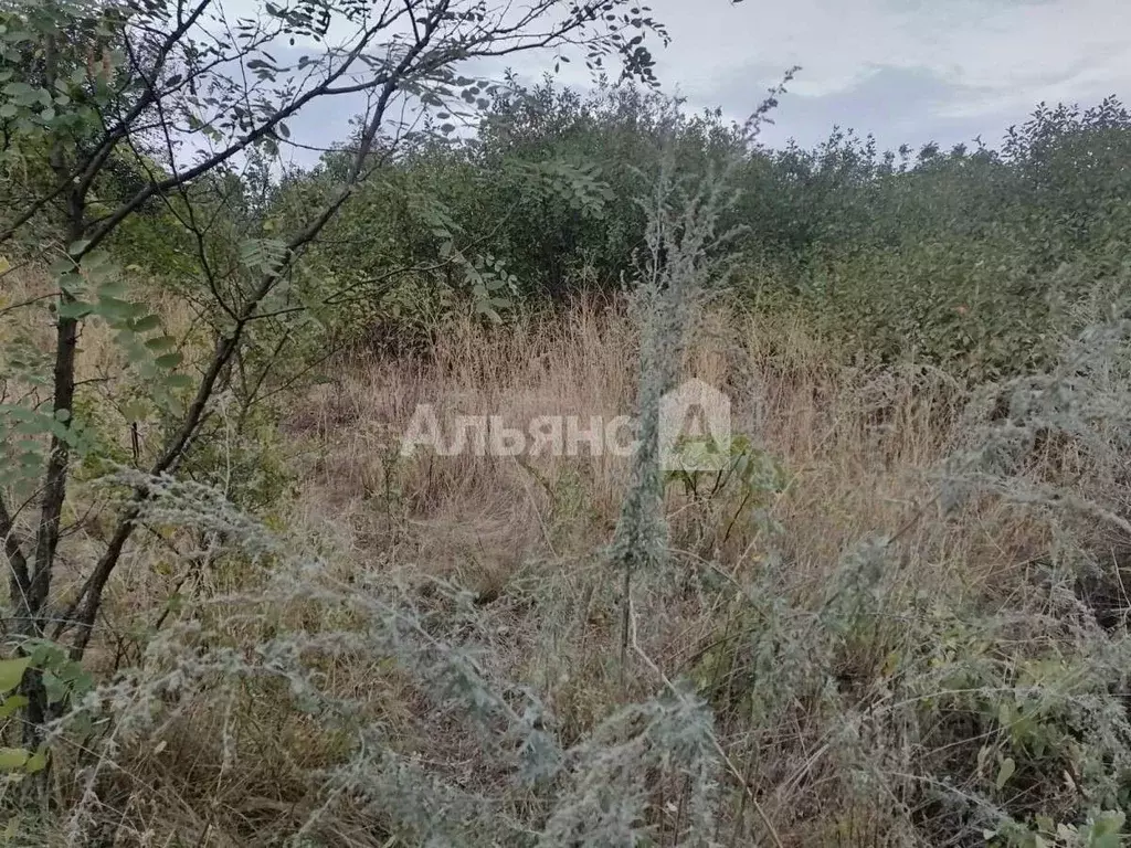 Участок в Ростовская область, Усть-Донецкий район, Мелиховская ст-ца ... - Фото 1