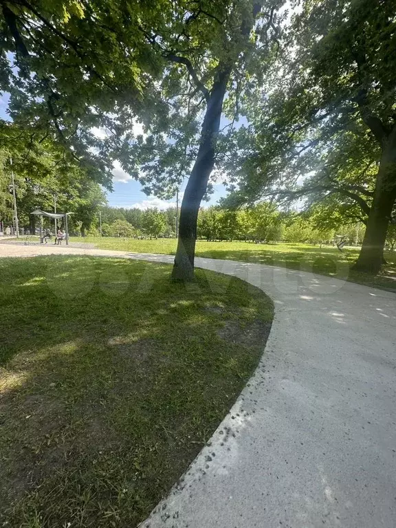 1-к. квартира, 28,7 м, 5/8 эт. - Фото 1