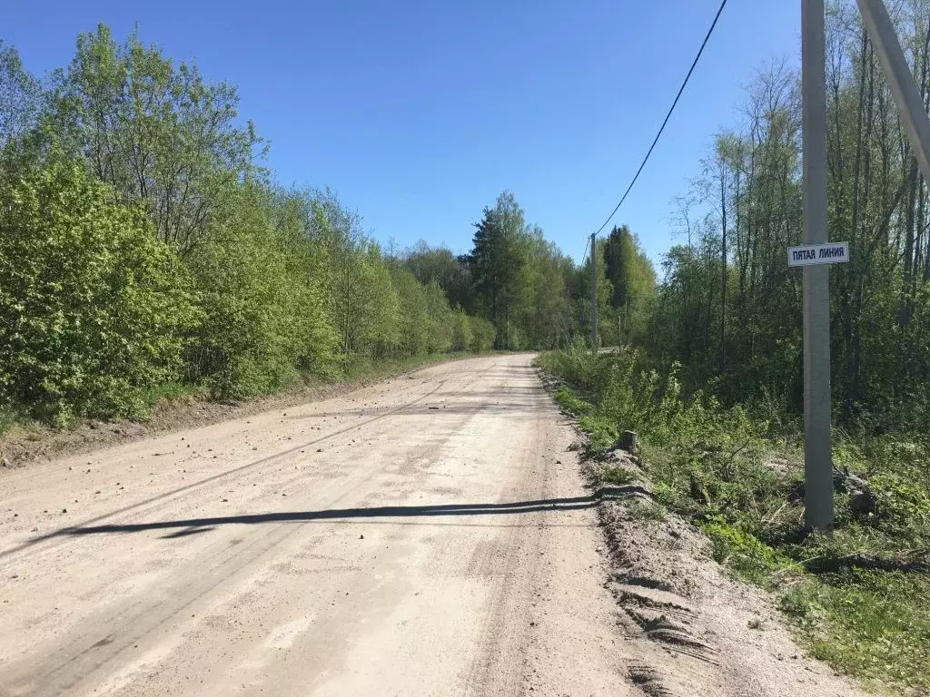 Участок в Ленинградская область, Приозерский район, Кузнечнинское ... - Фото 1