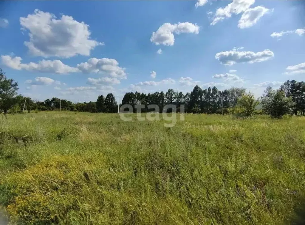 Участок в Белгородская область, Красногвардейский район, ... - Фото 1