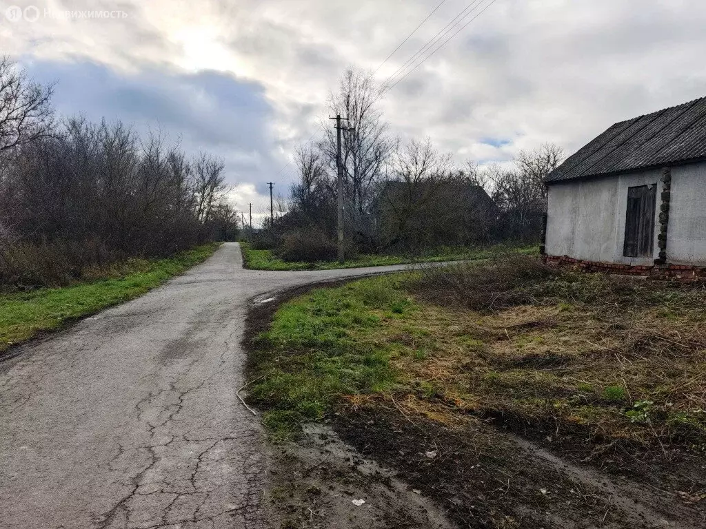 Дом в Высокский сельсовет, деревня Звягинцево (41.2 м) - Фото 2
