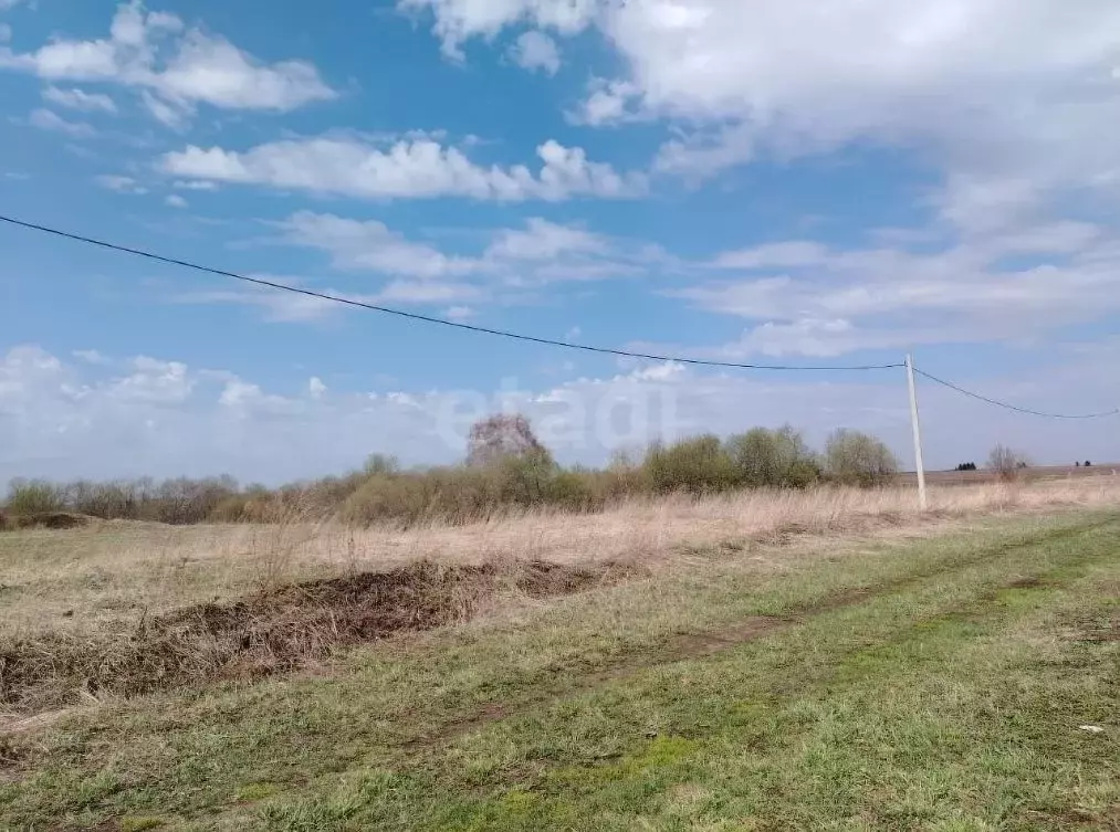 Участок в Кемеровская область, Юрга Речная ул., 12В (8.0 сот.) - Фото 2