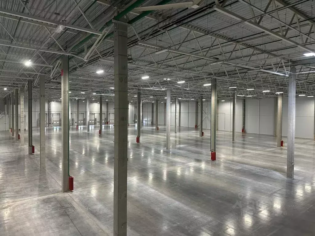 Склад в Московская область, Пушкинский городской округ, д. Талицы ... - Фото 2