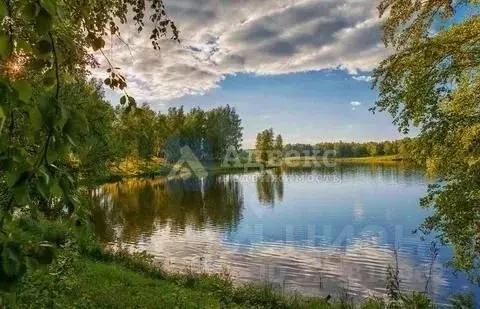 Участок в Тюменская область, Нижнетавдинский муниципальный округ, ... - Фото 1