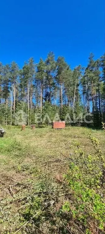 Участок в Ленинградская область, Всеволожский район, Куйвозовское ... - Фото 0