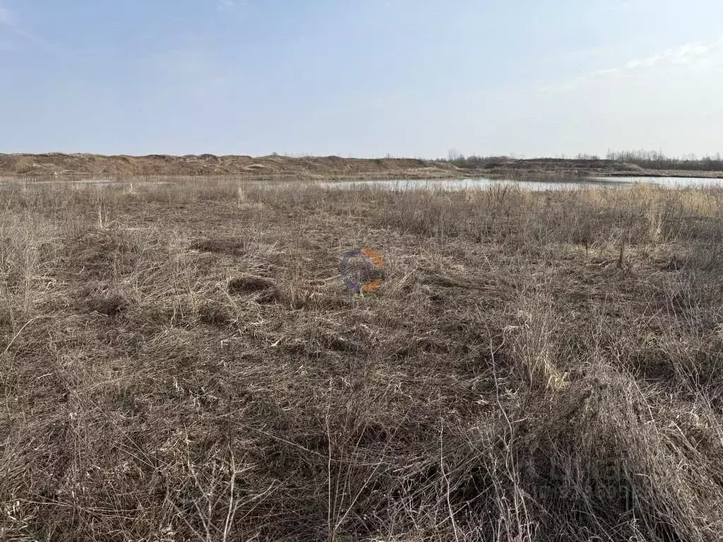 Участок в Новгородская область, Новгородский район, Ракомское с/пос, ... - Фото 1