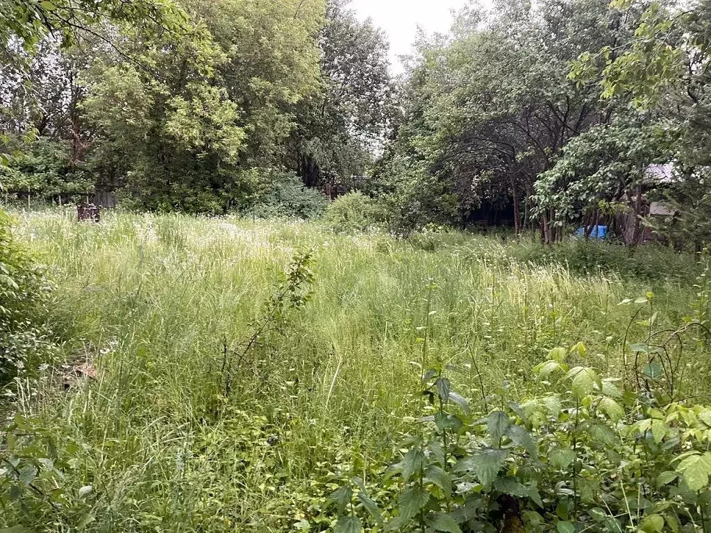Участок в Московская область, Одинцовский городской округ, д. Калчуга ... - Фото 1