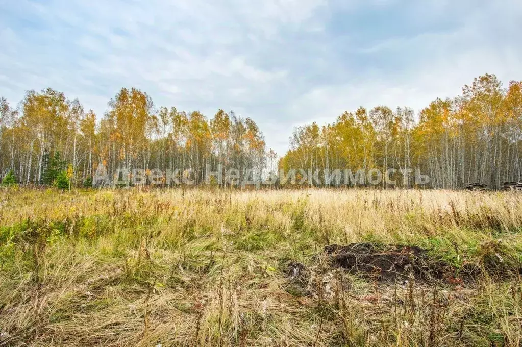 Участок в Тюменская область, Тюменский район, д. Елань  (8.2 сот.) - Фото 1
