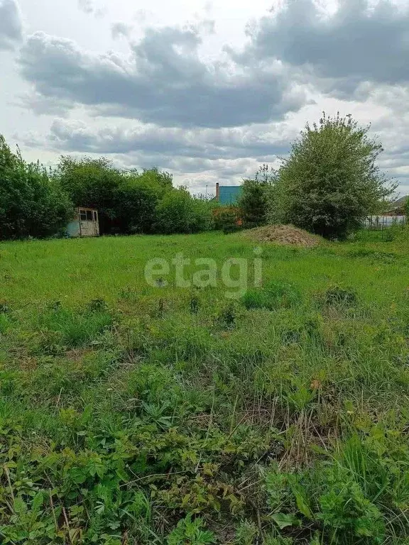 участок в воронежская область, верхнехавский район, с. углянец ул. . - Фото 0