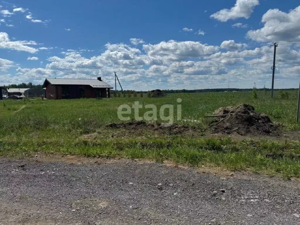 Участок в Тюменская область, Тюменский муниципальный округ, с. ... - Фото 2