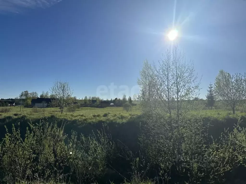 Участок в Вологодская область, д. Калинкино (Майское сельское ... - Фото 1