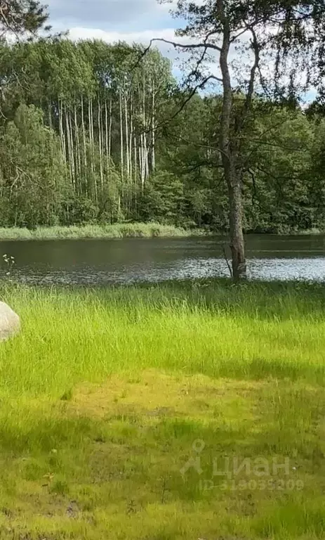 Участок в Ленинградская область, Приозерский район, Мельниковское ... - Фото 0