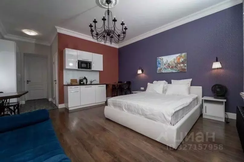 1-к кв. Санкт-Петербург наб. Реки Фонтанки, 28 (25.0 м) - Фото 2
