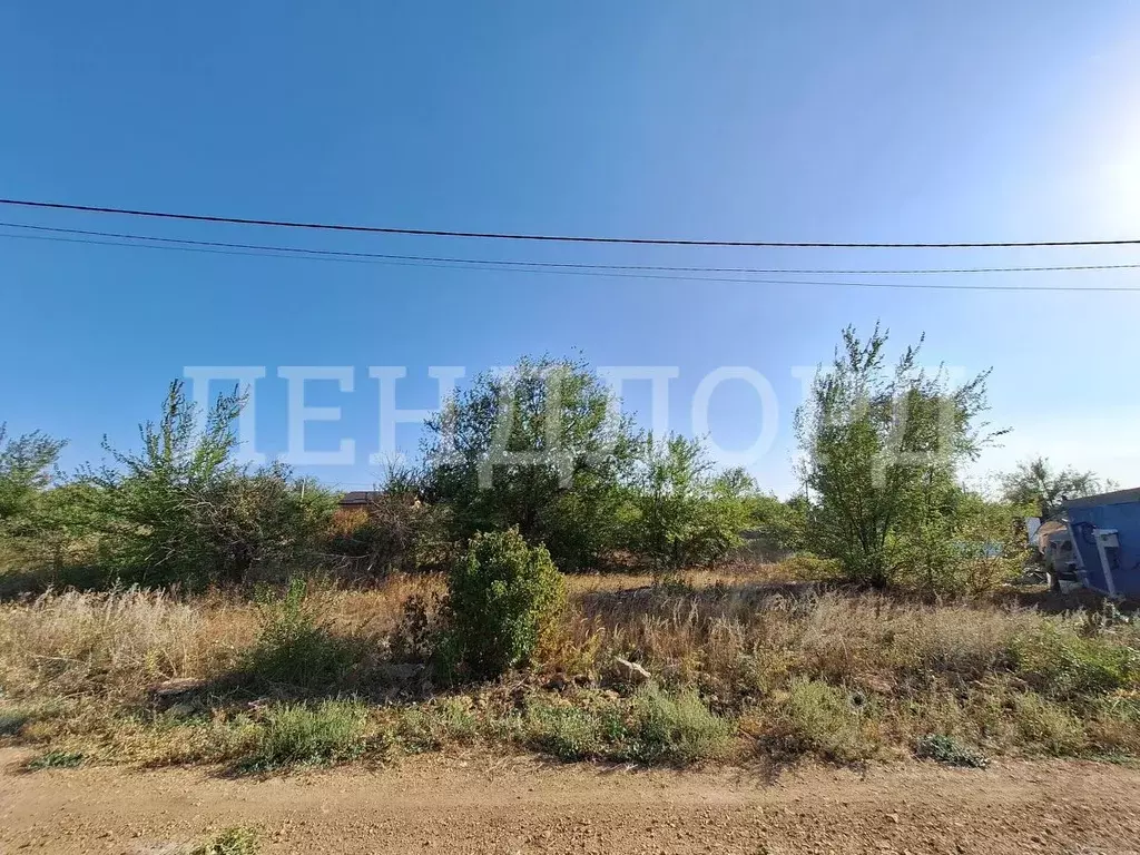 Участок в Ростовская область, Родионово-Несветайский район, ... - Фото 1