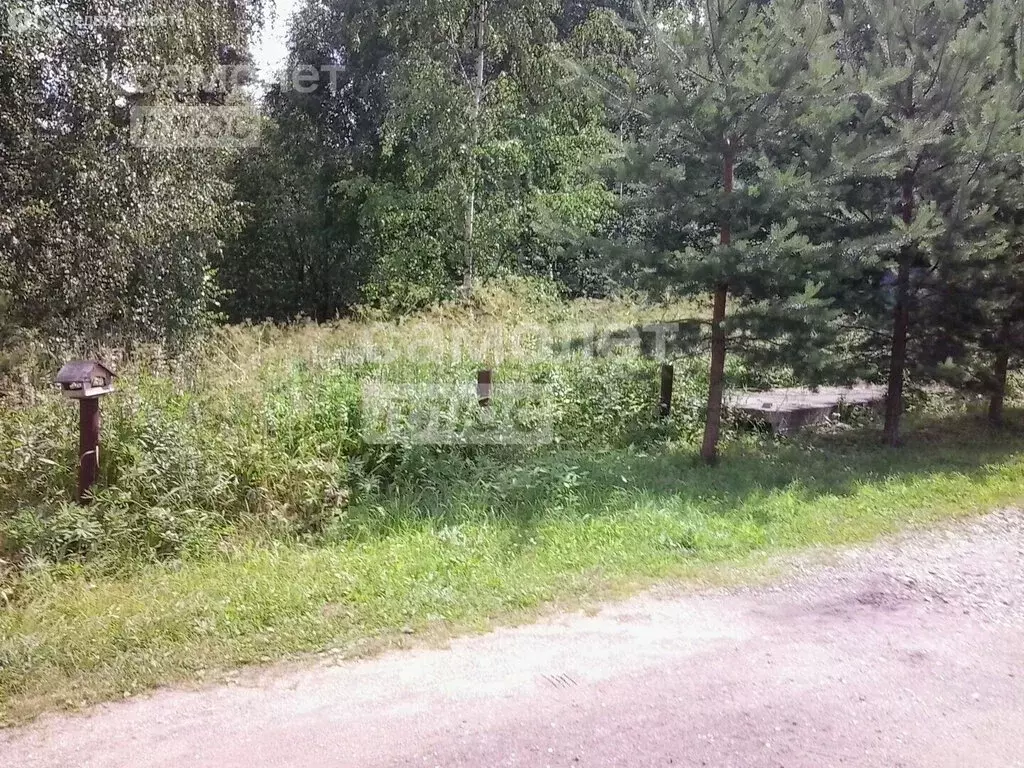 Участок в Ивановская область, Вичугский муниципальный округ, деревня ... - Фото 2