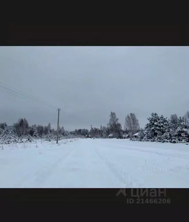 Участок в Новгородская область, Маловишерский район, д. Старые ... - Фото 1