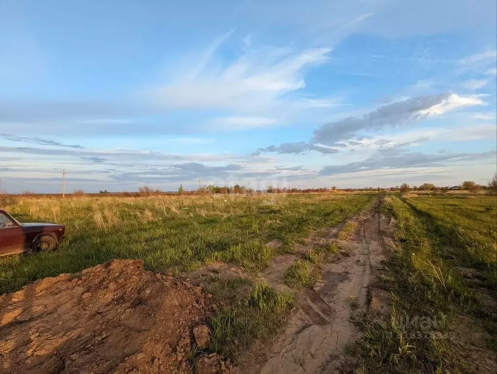 Участок в Самарская область, Ставропольский район, с. Ягодное  (10.0 ... - Фото 1