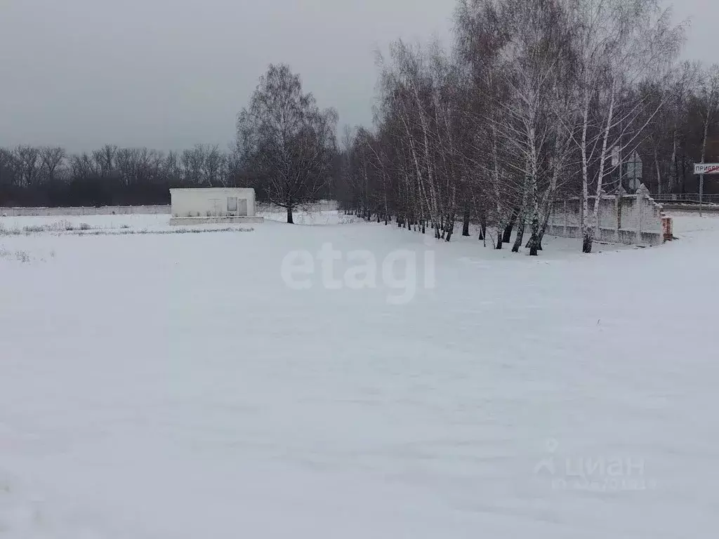 Участок в Белгородская область, Новооскольский муниципальный округ, ... - Фото 1