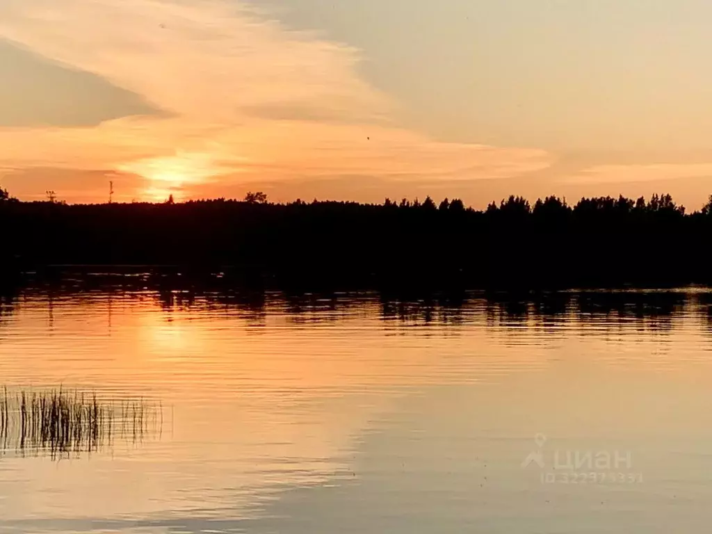 Участок в Ленинградская область, Приозерский район, Петровское с/пос, ... - Фото 1