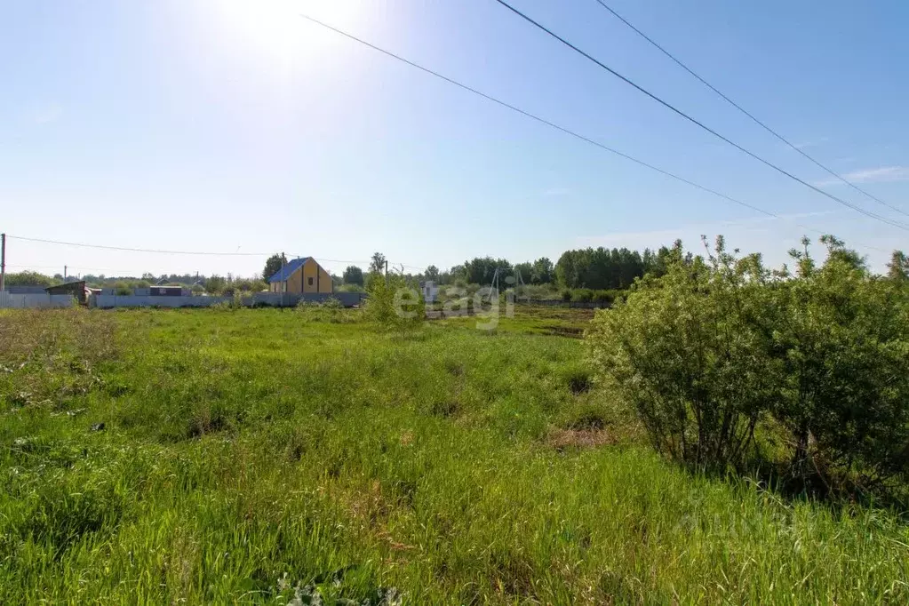 Участок в Тюменская область, Нижнетавдинский муниципальный округ, ... - Фото 1