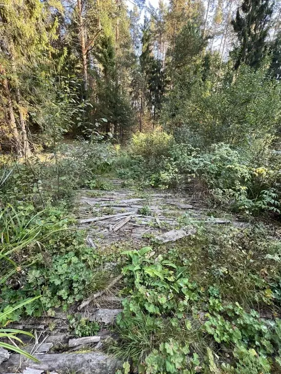 Участок 1,95 га (ИЖС) - Фото 1