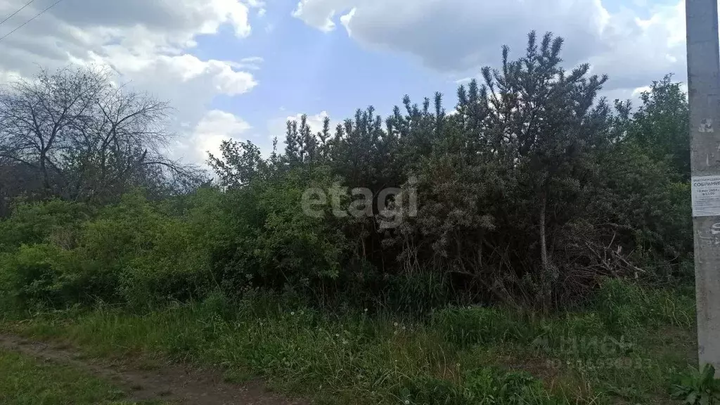 Участок в Белгородская область, Белгородский район, Беломестненское ... - Фото 1