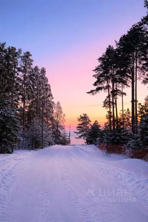 Коттедж в Ленинградская область, Выборгский район, Полянское с/пос, ... - Фото 2