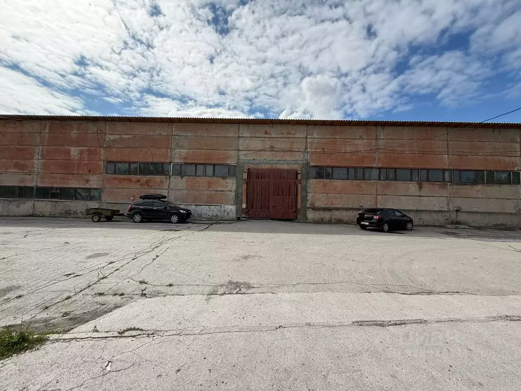 Помещение свободного назначения в Новосибирская область, Бердск ... - Фото 1