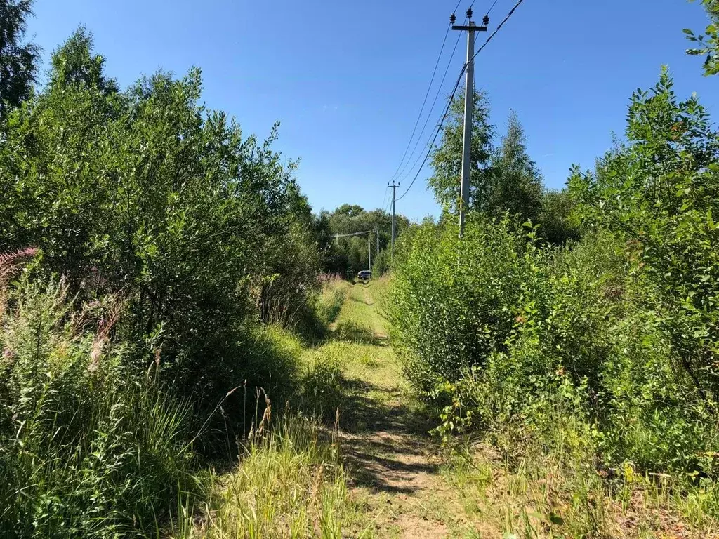 Участок в Ленинградская область, Гатчинский муниципальный округ, д. ... - Фото 2