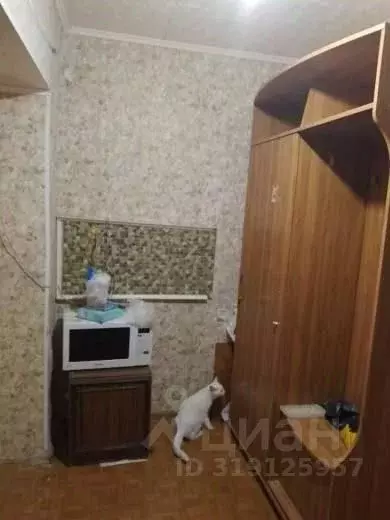 Комната Самарская область, Тольятти ул. Победы, 17 (18.0 м) - Фото 1