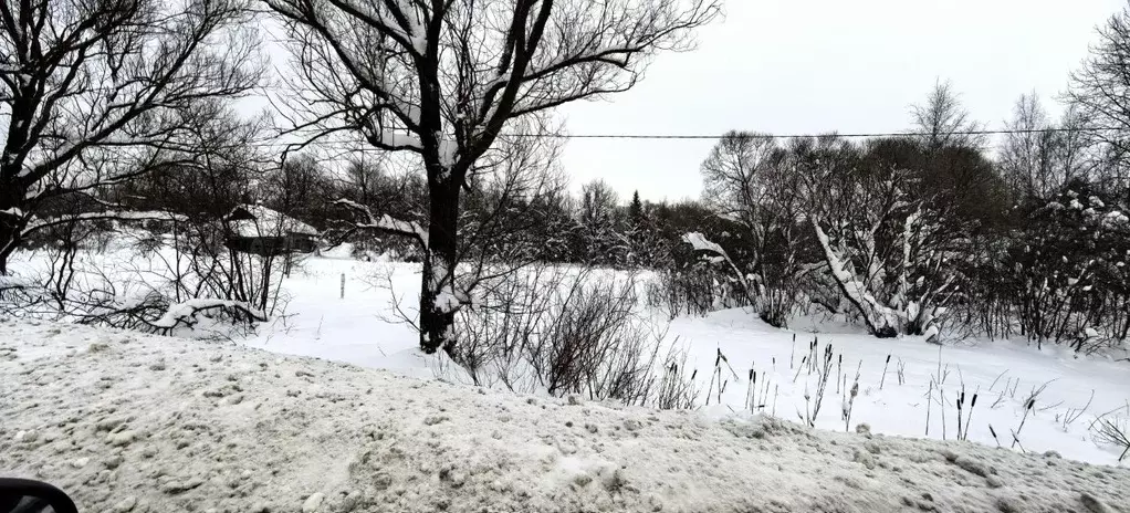 Участок в Московская область, Коломна городской округ, д. Шелухино  ... - Фото 1