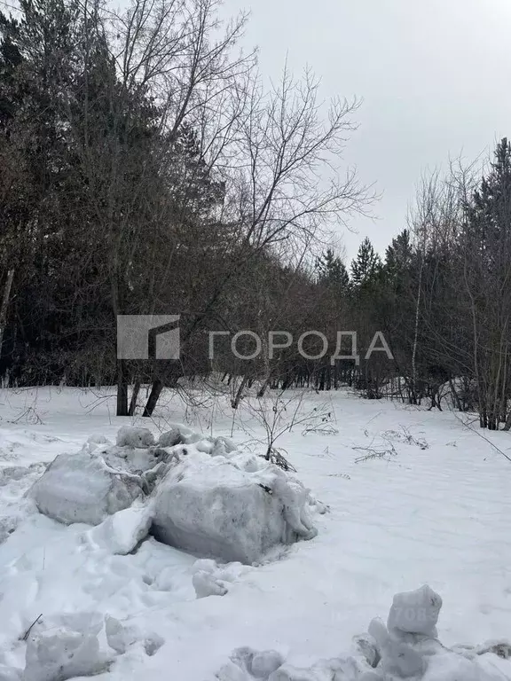 Участок в Новосибирская область, Новосибирский район, Барышевский ... - Фото 1