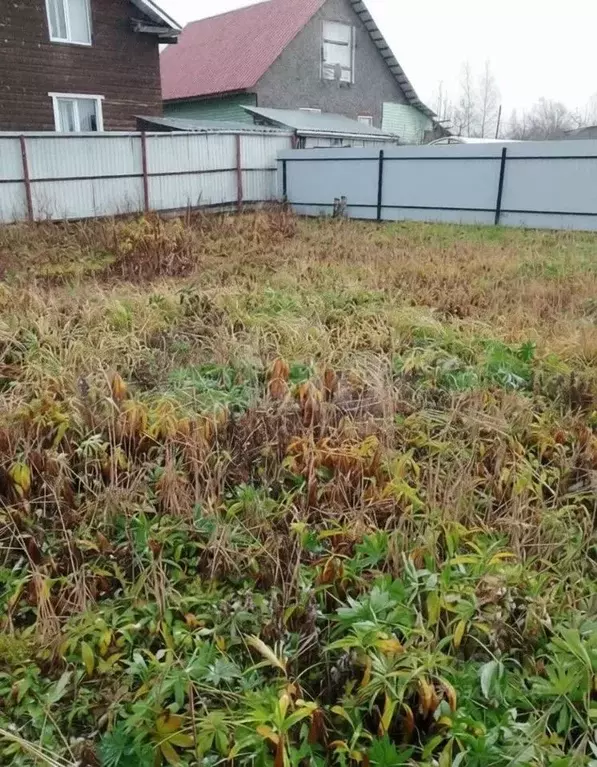 Участок в Ярославская область, Ярославский муниципальный округ, ... - Фото 1