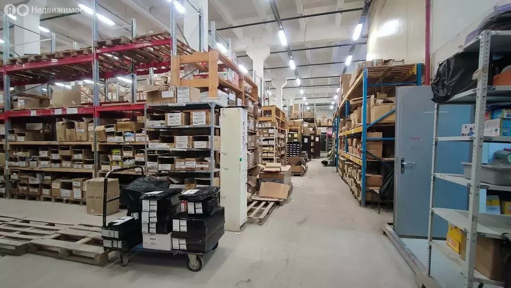 Склад (972 м) - Фото 2