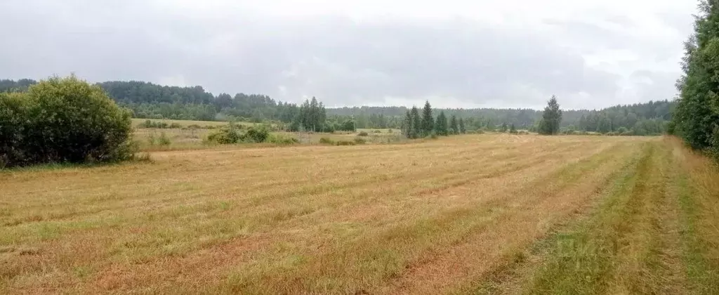 Участок в Ленинградская область, Выборгский район, Полянское с/пос, ... - Фото 0