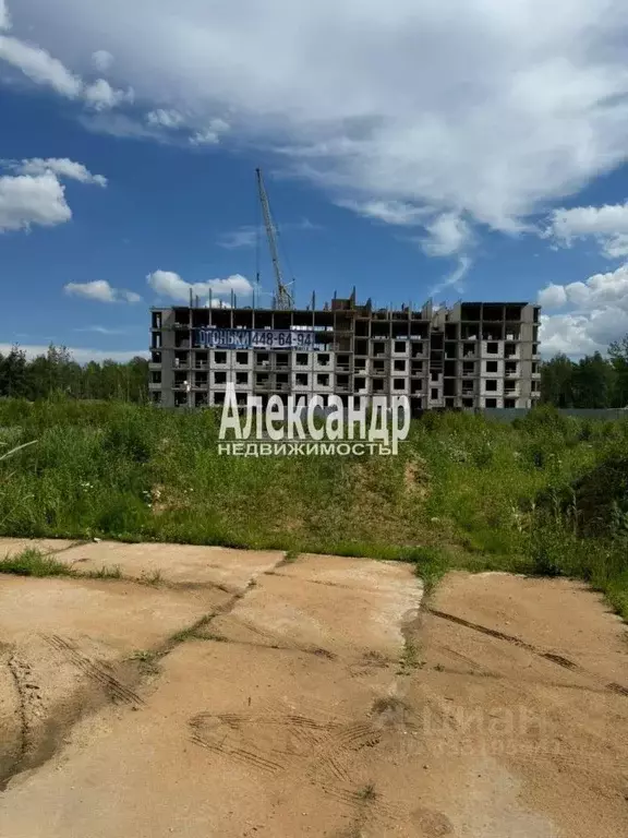 Склад в Ленинградская область, Всеволожск Всеволожский просп., 117 ... - Фото 2
