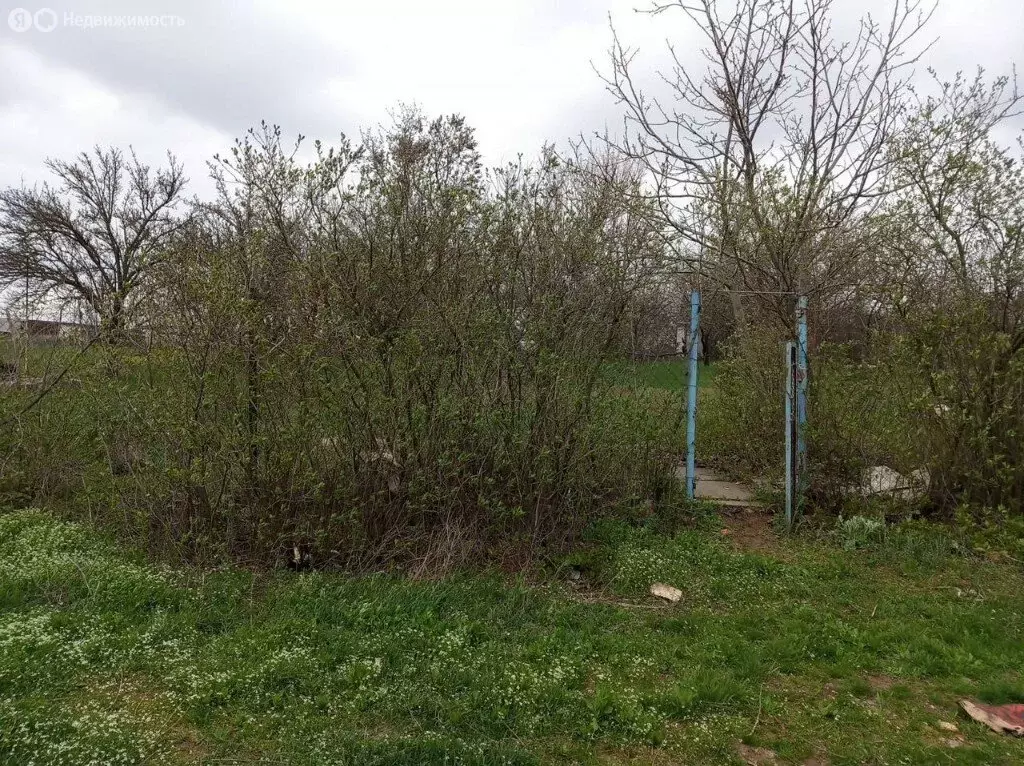 Участок в Ростов-на-Дону, садовое товарищество Защитник, 2-я ... - Фото 1