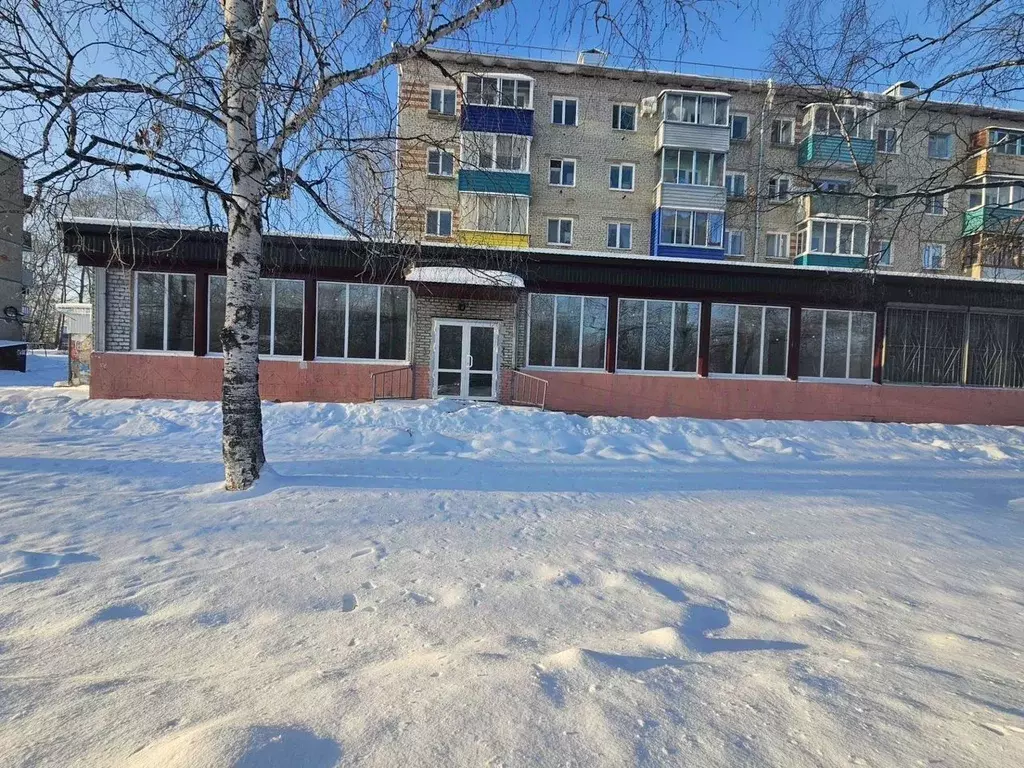 Помещение свободного назначения в Хабаровский край, Солнечный рп ул. ... - Фото 0