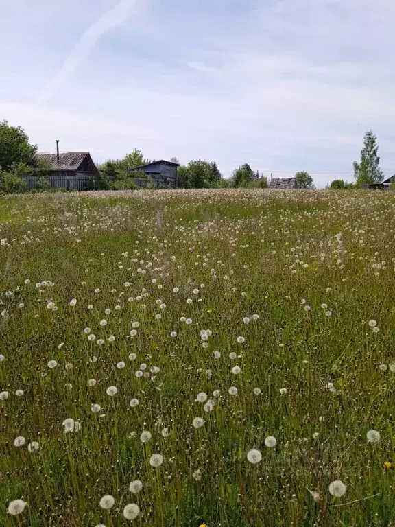 Участок в Башкортостан, Иглинский район, Чуваш-Кубовский сельсовет, с. ... - Фото 1