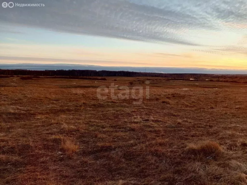 Участок в Камышловский район, Галкинское сельское поселение, село ... - Фото 2