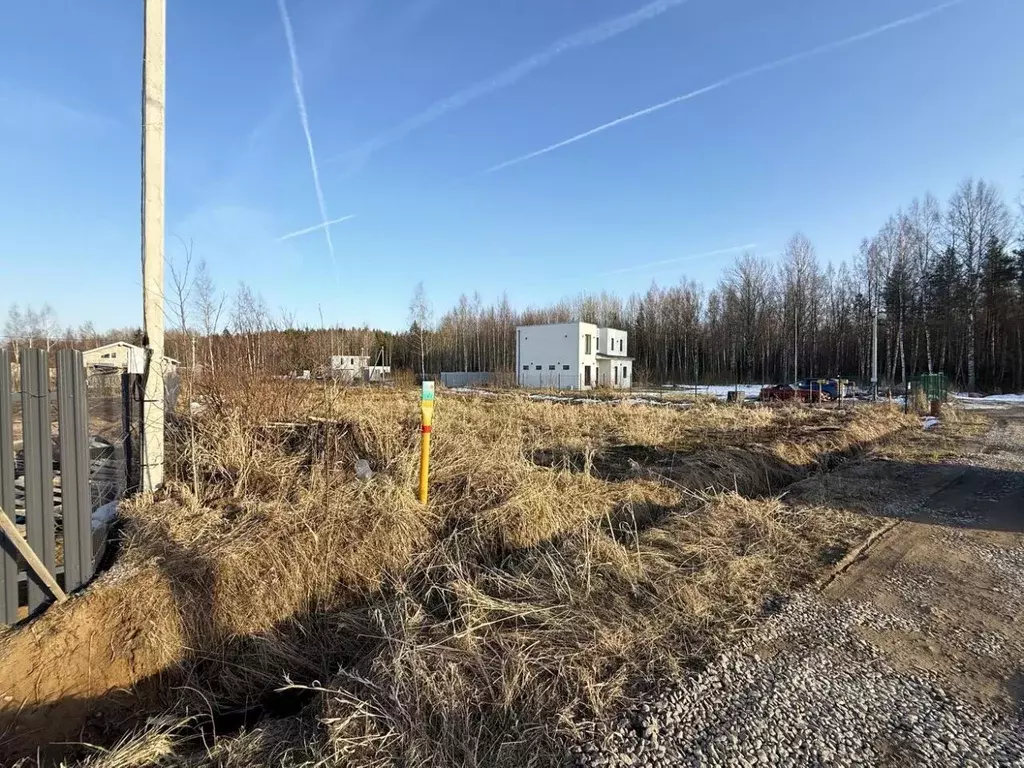 Участок в Ленинградская область, Ломоносовский район, Пениковское ... - Фото 2