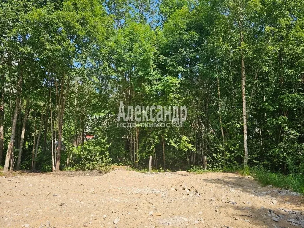 Участок в Карелия, Лахденпохья ул. Аркадия Маркова (10.0 сот.) - Фото 1