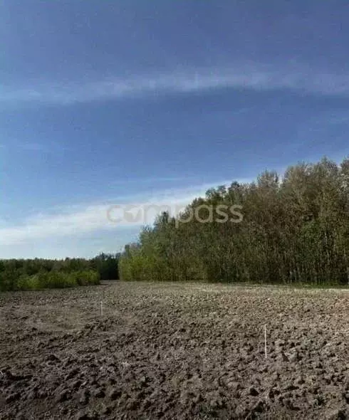 Участок в Тюменская область, Тюменский район, с. Горьковка Сибирская ... - Фото 0