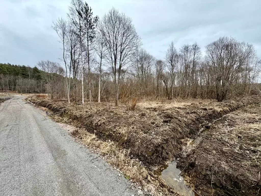 Участок в Карелия, Лахденпохский муниципальный округ, 1302 кв-л 3202 ... - Фото 2