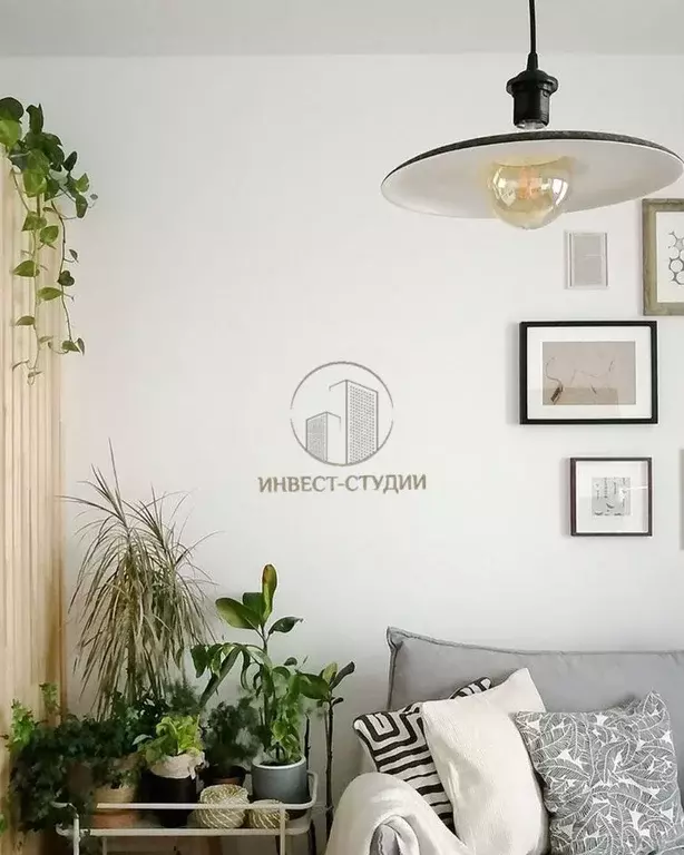 Студия Санкт-Петербург ул. Радищева, 3 (20.6 м) - Фото 1