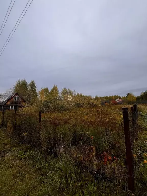 Участок в Башкортостан, Кармаскалинский район, Кабаковский сельсовет, ... - Фото 2