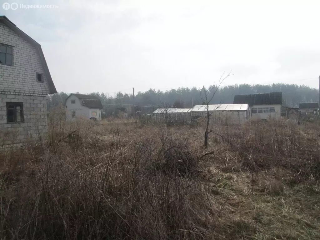 Дом в посёлок Путёвка, Бежицкая улица (10 м) - Фото 1
