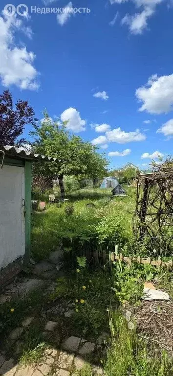 Участок в Калининград, СТ Победа (3.4 м) - Фото 0